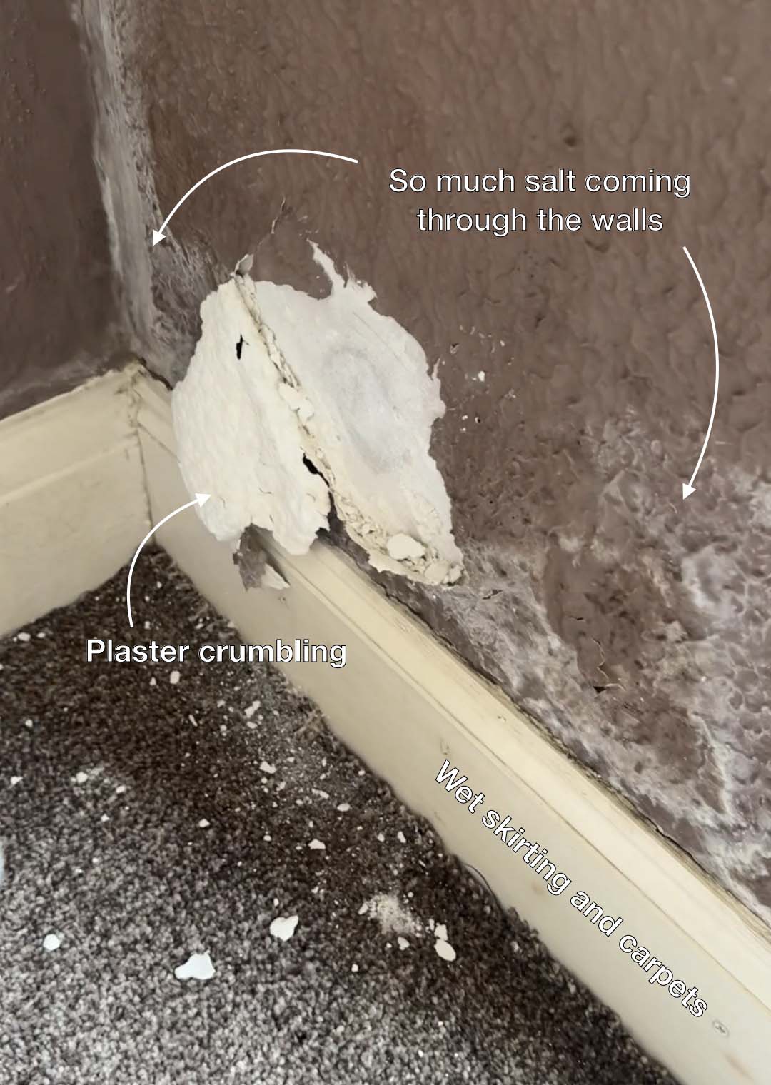 Damp Problems, Plaster crumbling, salts coming through the wall, wet carpet and skirting boards